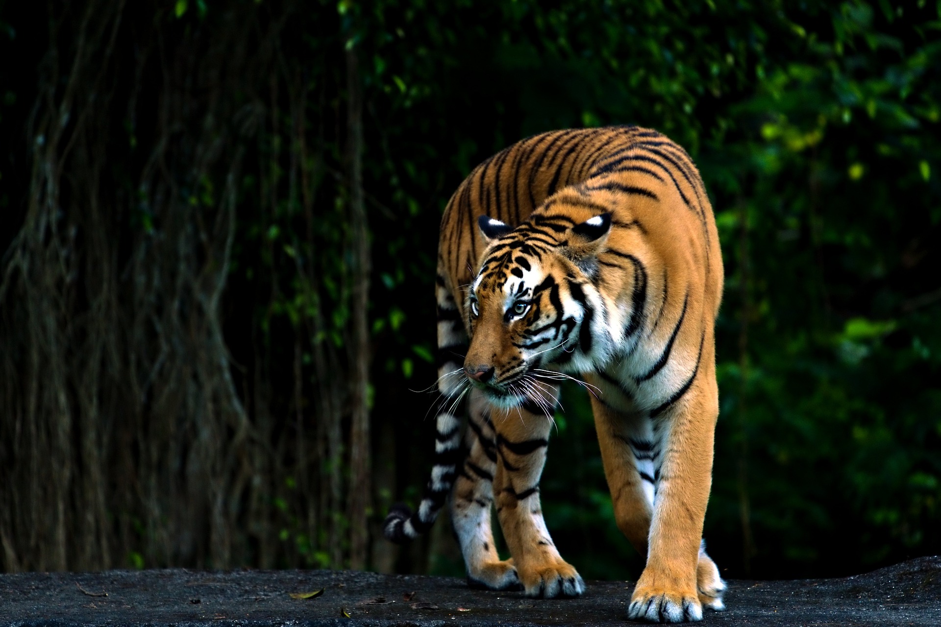 Bangladesh